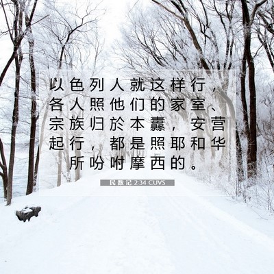 Picture 07 - 民 数 记 2:34 CUVS - 以 色 列 人 就 这 样 行 ， 各 人 照 - Bible Verse Picture