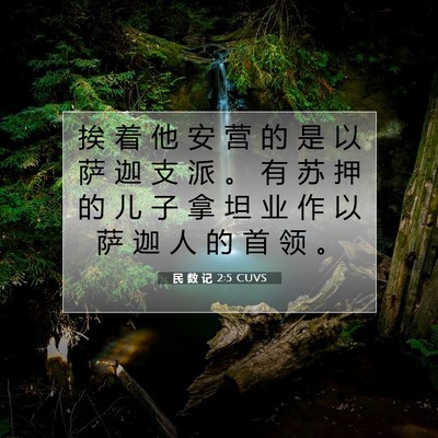Picture 07 - 民 数 记 2:5 CUVS - 挨 着 他 安 营 的 是 以 萨 迦 支 派 - Bible Verse Picture