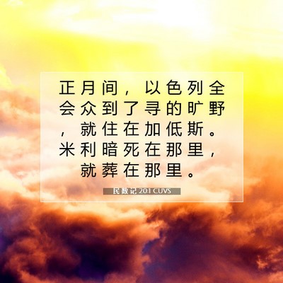 Picture 07 - 民 数 记 20:1 CUVS - 正 月 间 ， 以 色 列 全 会 众 到 了 - Bible Verse Picture