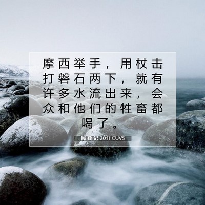 Picture 07 - 民 数 记 20:11 CUVS - 摩 西 举 手 ， 用 杖 击 打 磐 石 两 - Bible Verse Picture