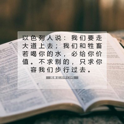 Picture 07 - 民 数 记 20:19 CUVS - 以 色 列 人 说 ： 我 们 要 走 大 道 - Bible Verse Picture