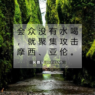 Picture 07 - 民 数 记 20:2 CUVS - 会 众 没 有 水 喝 ， 就 聚 集 攻 击 - Bible Verse Picture