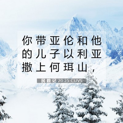Picture 07 - 民 数 记 20:25 CUVS - 你 带 亚 伦 和 他 的 儿 子 以 利 亚 - Bible Verse Picture