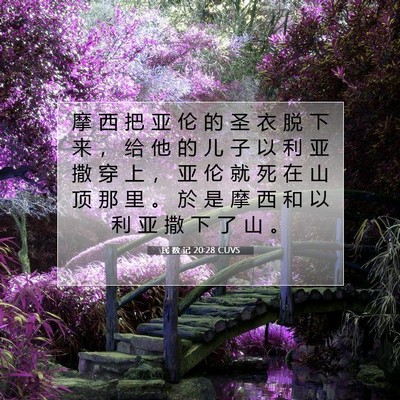Picture 07 - 民 数 记 20:28 CUVS - 摩 西 把 亚 伦 的 圣 衣 脱 下 来 ， - Bible Verse Picture