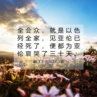 Picture 07 - 民 数 记 20:29 CUVS - 全 会 众 ， 就 是 以 色 列 全 家 ， - Bible Verse Picture