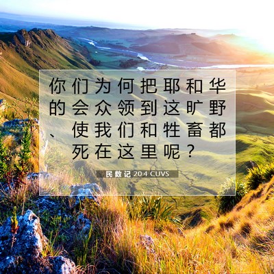 Picture 07 - 民 数 记 20:4 CUVS - 你 们 为 何 把 耶 和 华 的 会 众 领 - Bible Verse Picture