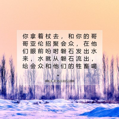 Picture 07 - 民 数 记 20:8 CUVS - 你 拿 着 杖 去 ， 和 你 的 哥 哥 亚 - Bible Verse Picture