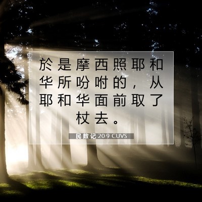 Picture 07 - 民 数 记 20:9 CUVS - 於 是 摩 西 照 耶 和 华 所 吩 咐 的 - Bible Verse Picture