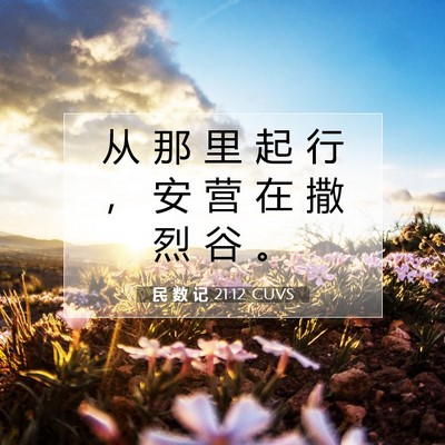 Picture 07 - 民 数 记 21:12 CUVS - 从 那 里 起 行 ， 安 营 在 撒 烈 谷 - Bible Verse Picture