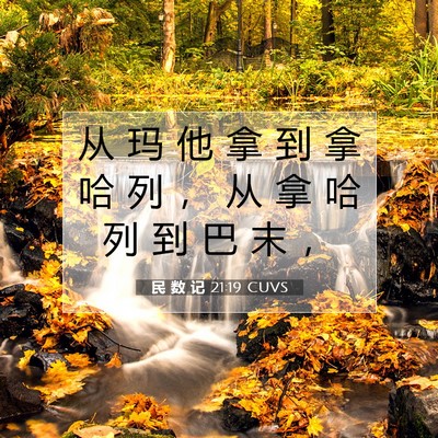Picture 07 - 民 数 记 21:19 CUVS - 从 玛 他 拿 到 拿 哈 列 ， 从 拿 哈 - Bible Verse Picture