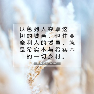 Picture 07 - 民 数 记 21:25 CUVS - 以 色 列 人 夺 取 这 一 切 的 城 邑 - Bible Verse Picture