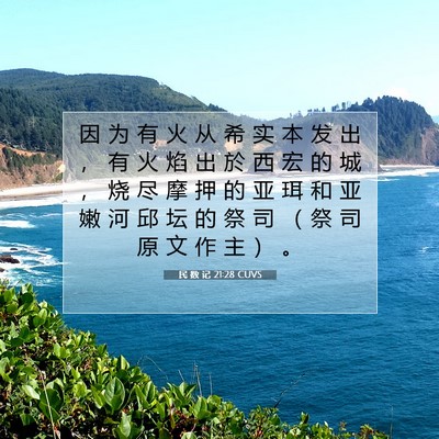 Picture 07 - 民 数 记 21:28 CUVS - 因 为 有 火 从 希 实 本 发 出 ， 有 - Bible Verse Picture