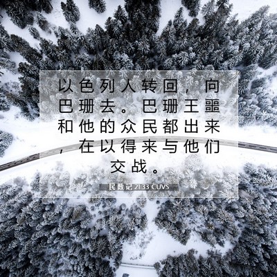 Picture 07 - 民 数 记 21:33 CUVS - 以 色 列 人 转 回 ， 向 巴 珊 去 。 - Bible Verse Picture