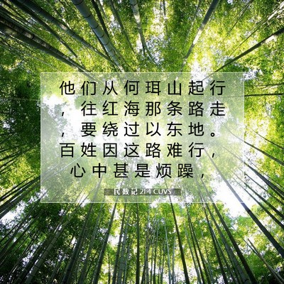 Picture 07 - 民 数 记 21:4 CUVS - 他 们 从 何 珥 山 起 行 ， 往 红 海 - Bible Verse Picture