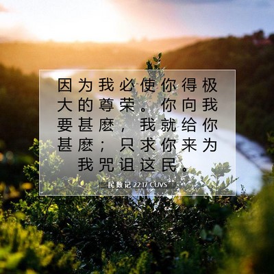 Picture 07 - 民 数 记 22:17 CUVS - 因 为 我 必 使 你 得 极 大 的 尊 荣 - Bible Verse Picture