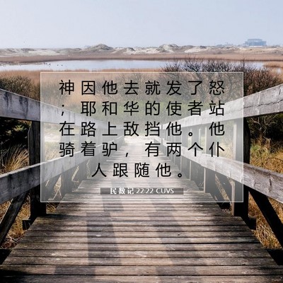 Picture 07 - 民 数 记 22:22 CUVS - 神 因 他 去 就 发 了 怒 ； 耶 和 华 - Bible Verse Picture