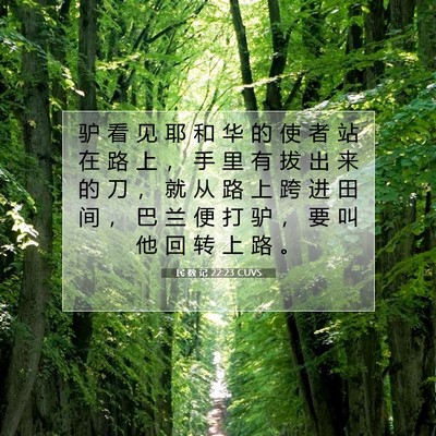 Picture 07 - 民 数 记 22:23 CUVS - 驴 看 见 耶 和 华 的 使 者 站 在 路 - Bible Verse Picture
