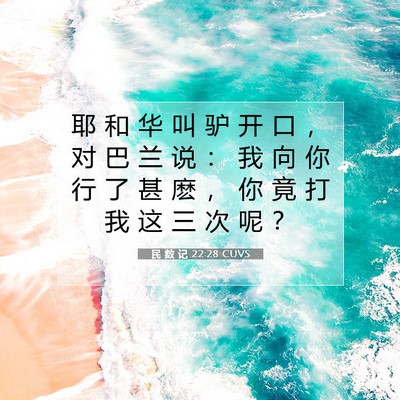 Picture 07 - 民 数 记 22:28 CUVS - 耶 和 华 叫 驴 开 口 ， 对 巴 兰 说 - Bible Verse Picture