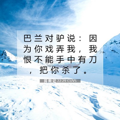Picture 07 - 民 数 记 22:29 CUVS - 巴 兰 对 驴 说 ： 因 为 你 戏 弄 我 - Bible Verse Picture