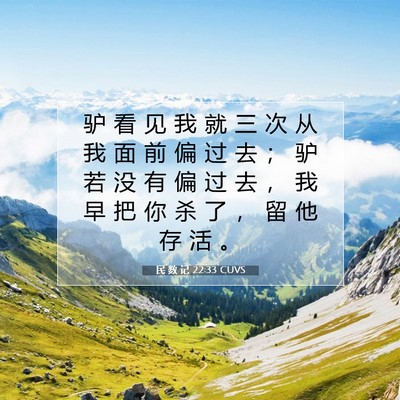 Picture 07 - 民 数 记 22:33 CUVS - 驴 看 见 我 就 三 次 从 我 面 前 偏 - Bible Verse Picture