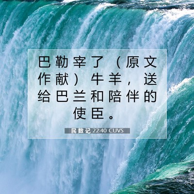 Picture 07 - 民 数 记 22:40 CUVS - 巴 勒 宰 了 （ 原 文 作 献 ） 牛 羊 - Bible Verse Picture