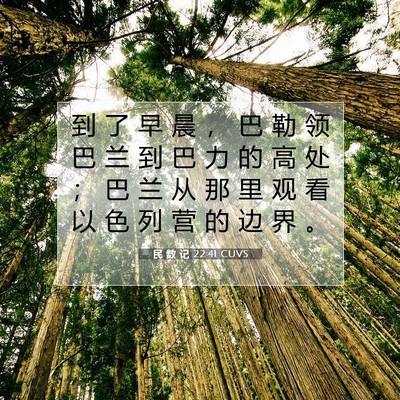 Picture 07 - 民 数 记 22:41 CUVS - 到 了 早 晨 ， 巴 勒 领 巴 兰 到 巴 - Bible Verse Picture