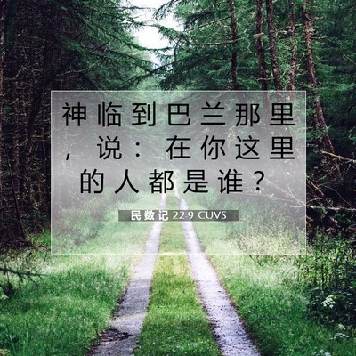 Picture 07 - 民 数 记 22:9 CUVS - 神 临 到 巴 兰 那 里 ， 说 ： 在 你 - Bible Verse Picture