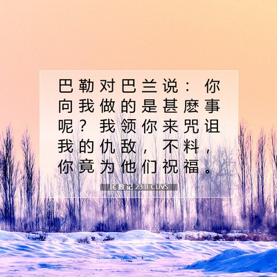 Picture 07 - 民 数 记 23:11 CUVS - 巴 勒 对 巴 兰 说 ： 你 向 我 做 的 - Bible Verse Picture