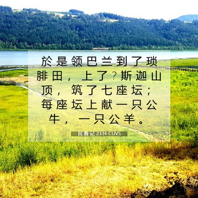 Picture 07 - 民 数 记 23:14 CUVS - 於 是 领 巴 兰 到 了 琐 腓 田 ， 上 - Bible Verse Picture