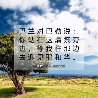 Picture 07 - 民 数 记 23:15 CUVS - 巴 兰 对 巴 勒 说 ： 你 站 在 这 燔 - Bible Verse Picture
