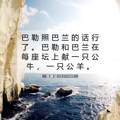 Picture 07 - 民 数 记 23:2 CUVS - 巴 勒 照 巴 兰 的 话 行 了 。 巴 勒 - Bible Verse Picture
