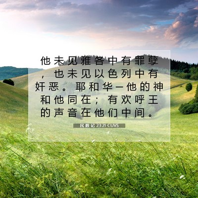 Picture 07 - 民 数 记 23:21 CUVS - 他 未 见 雅 各 中 有 罪 孽 ， 也 未 - Bible Verse Picture