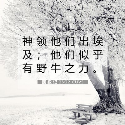 Picture 07 - 民 数 记 23:22 CUVS - 神 领 他 们 出 埃 及 ； 他 们 似 乎 - Bible Verse Picture