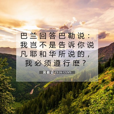 Picture 07 - 民 数 记 23:26 CUVS - 巴 兰 回 答 巴 勒 说 ： 我 岂 不 是 - Bible Verse Picture