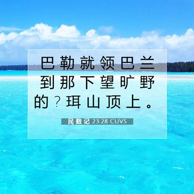 Picture 07 - 民 数 记 23:28 CUVS - 巴 勒 就 领 巴 兰 到 那 下 望 旷 野 - Bible Verse Picture