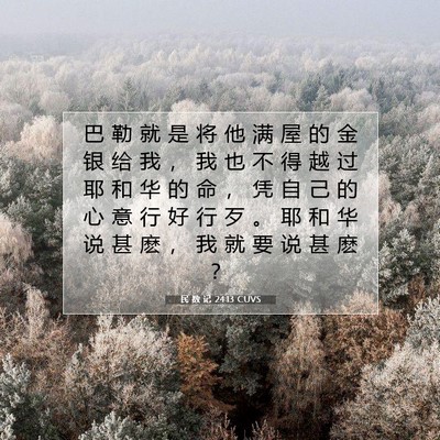 Picture 07 - 民 数 记 24:13 CUVS - 巴 勒 就 是 将 他 满 屋 的 金 银 给 - Bible Verse Picture