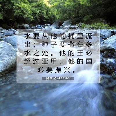 Picture 07 - 民 数 记 24:7 CUVS - 水 要 从 他 的 桶 里 流 出 ； 种 子 - Bible Verse Picture