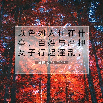 Picture 07 - 民 数 记 25:1 CUVS - 以 色 列 人 住 在 什 亭 ， 百 姓 与 - Bible Verse Picture