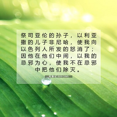Picture 07 - 民 数 记 25:11 CUVS - 祭 司 亚 伦 的 孙 子 ， 以 利 亚 撒 - Bible Verse Picture