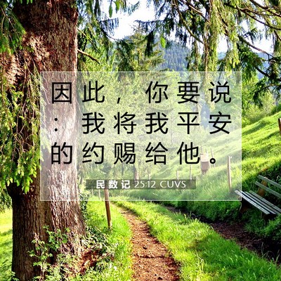 Picture 07 - 民 数 记 25:12 CUVS - 因 此 ， 你 要 说 ： 我 将 我 平 安 - Bible Verse Picture
