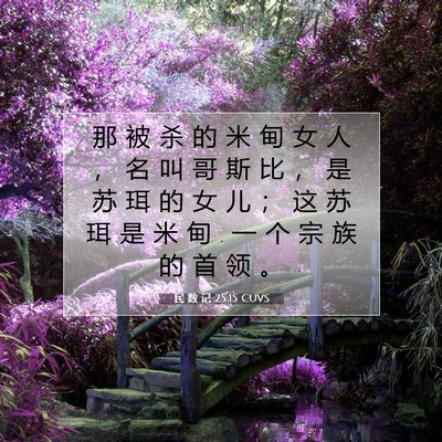 Picture 07 - 民 数 记 25:15 CUVS - 那 被 杀 的 米 甸 女 人 ， 名 叫 哥 - Bible Verse Picture