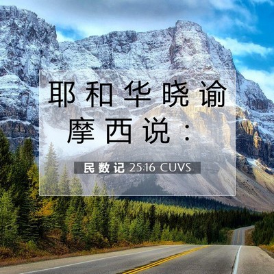 Picture 07 - 民 数 记 25:16 CUVS - 耶 和 华 晓 谕 摩 西 说 - Bible Verse Picture