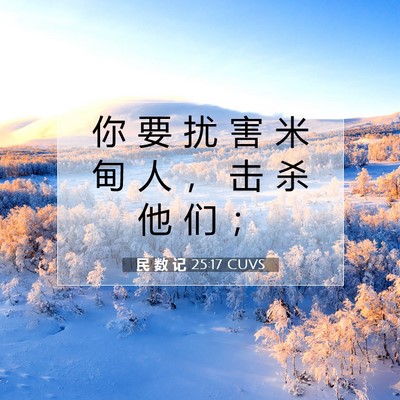 Picture 07 - 民 数 记 25:17 CUVS - 你 要 扰 害 米 甸 人 ， 击 杀 他 们 - Bible Verse Picture