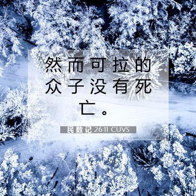 Picture 07 - 民 数 记 26:11 CUVS - 然 而 可 拉 的 众 子 没 有 死 亡 - Bible Verse Picture