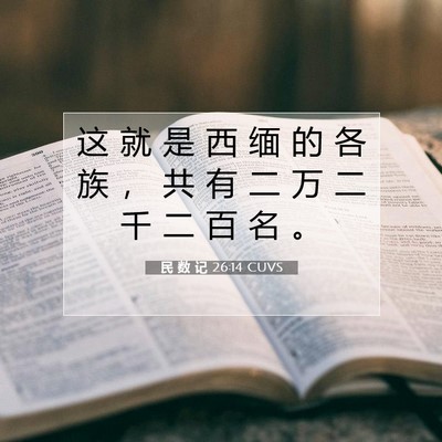 Picture 07 - 民 数 记 26:14 CUVS - 这 就 是 西 缅 的 各 族 ， 共 有 二 - Bible Verse Picture