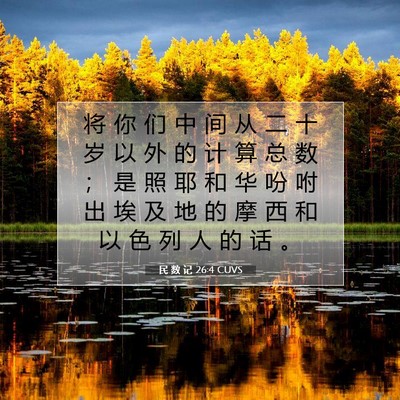 Picture 07 - 民 数 记 26:4 CUVS - 将 你 们 中 间 从 二 十 岁 以 外 的 - Bible Verse Picture