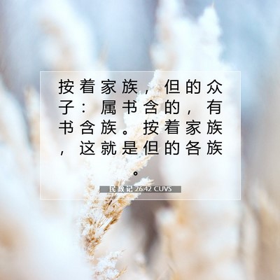 Picture 07 - 民 数 记 26:42 CUVS - 按 着 家 族 ， 但 的 众 子 ： 属 书 - Bible Verse Picture