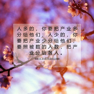 Picture 07 - 民 数 记 26:54 CUVS - 人 多 的 ， 你 要 把 产 业 多 分 给 - Bible Verse Picture