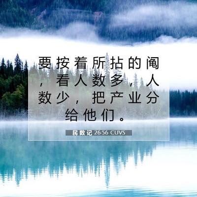 Picture 07 - 民 数 记 26:56 CUVS - 要 按 着 所 拈 的 阄 ， 看 人 数 多 - Bible Verse Picture