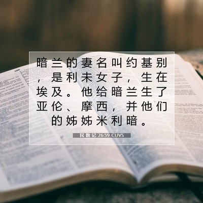 Picture 07 - 民 数 记 26:59 CUVS - 暗 兰 的 妻 名 叫 约 基 别 ， 是 利 - Bible Verse Picture